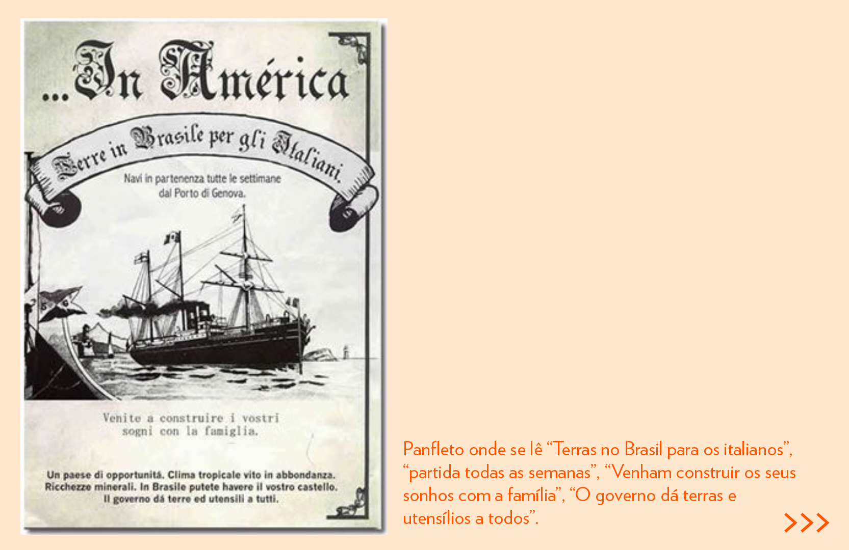 Imagem 31